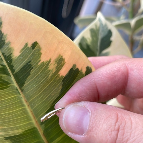 bluboho Jewelry - Bluboho elephant tusk ear crawler rose gold